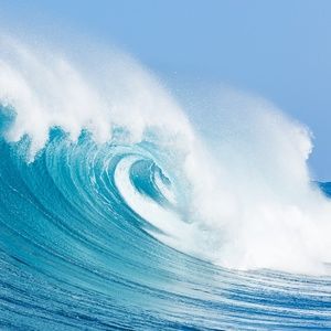 Meet the Posher, Monique!